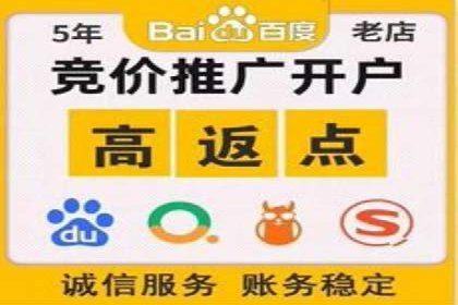 SEM专员如何利用数据分析优化广告投放效果
